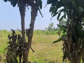 Jual Tanah di Cisarua Bandung Barat, Strategis View Gunung Udara Sejuk
