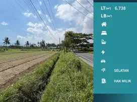 Dijual Cepat Tanah Pertanian Poros Jalan Aspal Banjarejo Pakis Malang