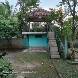 Jual cepat rumah strategis  dan kebun cocok buat investasi