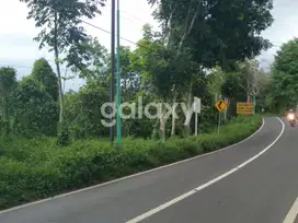Tanah Cocok Untuk Hotel Dan Restoran ,Lokasi Ke Arah Gunung Ijen