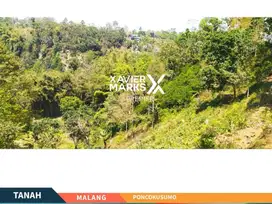 DIJUAL TANAH KEBUN Di Poncokusumo - Tumpang, Malang