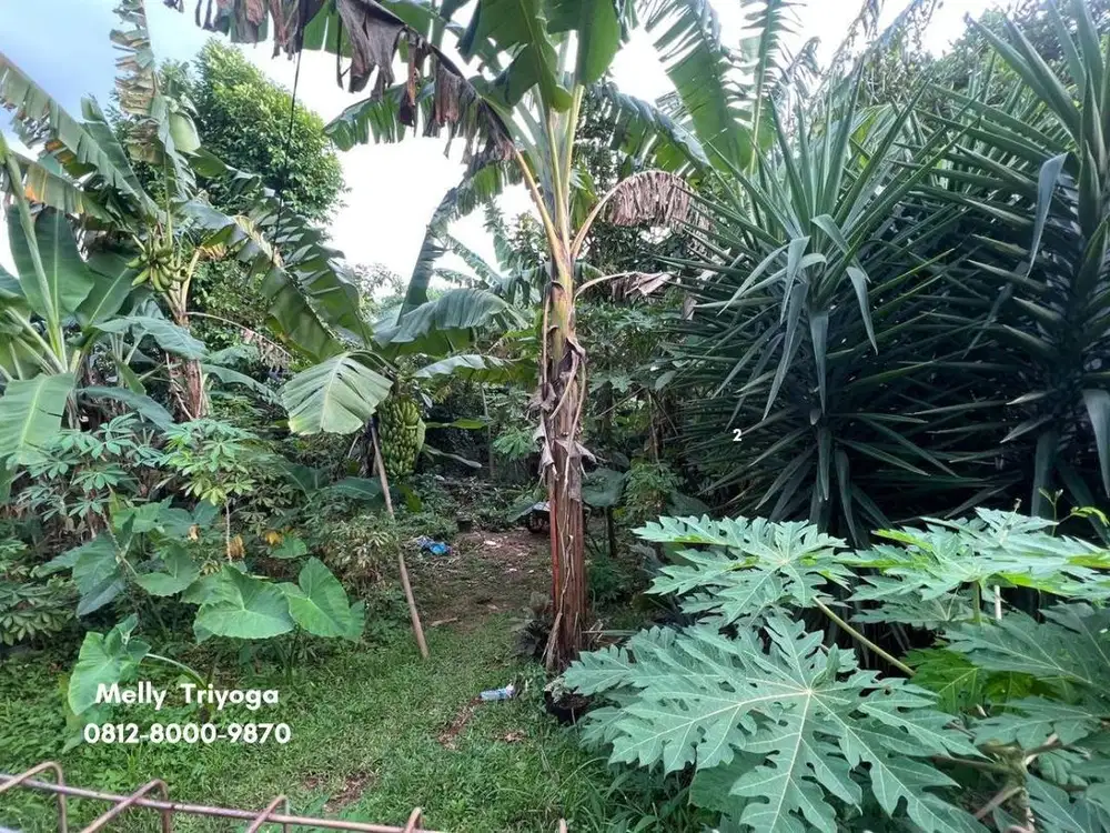 Dijual Tanah Siap Bangun Di Komplek Pondok Bambu Jakarta