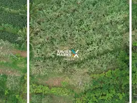 Dijual Tanah Kavling Di Daerah Petung sewu Wagir Kabupaten Malang