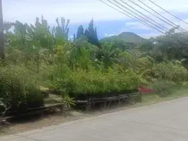 Dijual Tanah di Cigugur Parongpong Bandung Barat, Pinggir Jalan