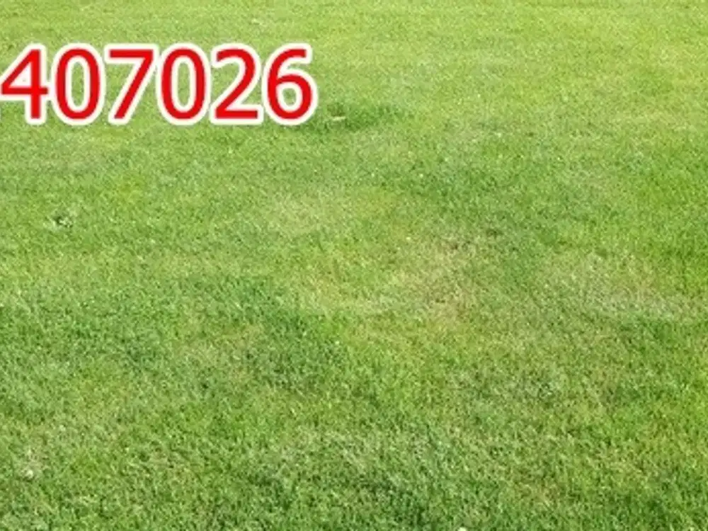 Dijual Kavling Tanah Citraland dkt Pakuwon WBM Royal Residence Graha