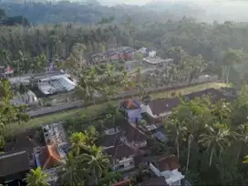 Tanah Premium Strategis Kedewatan Ubud Bali