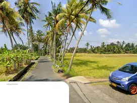 Tanah View Sawah di Kemenuh Sukawati Ubud