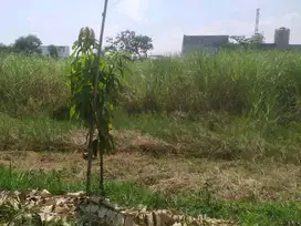 Dijual Tanah Jeruk Wage Taman Sidoarjo ANG.A063