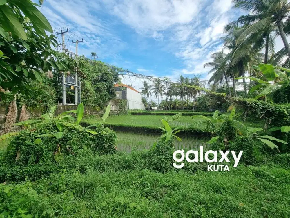 TANAH PROF IDA BAGUS MANTRA GIANYAR, BALI