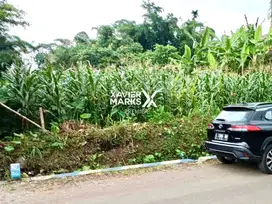 Tanah Luas Prospektif di Ngenep Karangploso Malang