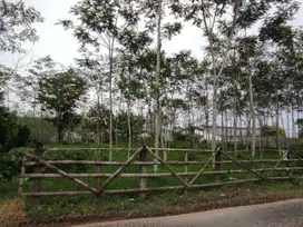 Dijual Tanah 0 Jalan Raya di Bandulan Pandanlandung Malang Siap Bangun