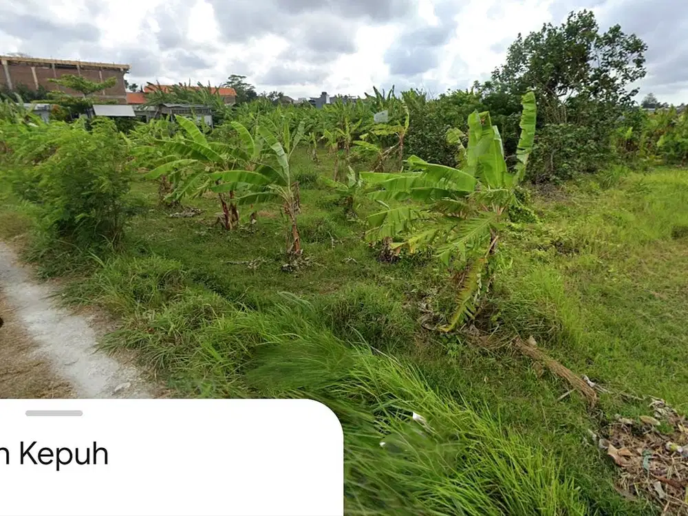 Tanah Prime area Jl Pantai Berawa Canggu