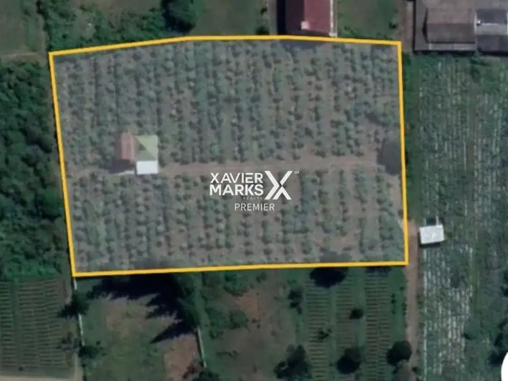 Tanah Kavling Prospektif Untuk Kompleks Villa Panderman Hills Batu