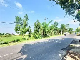 JUAL TANAH BISA BANGUN PERUMAHAN BASUKI RACHMAD WARUJAYENG NGANJUK