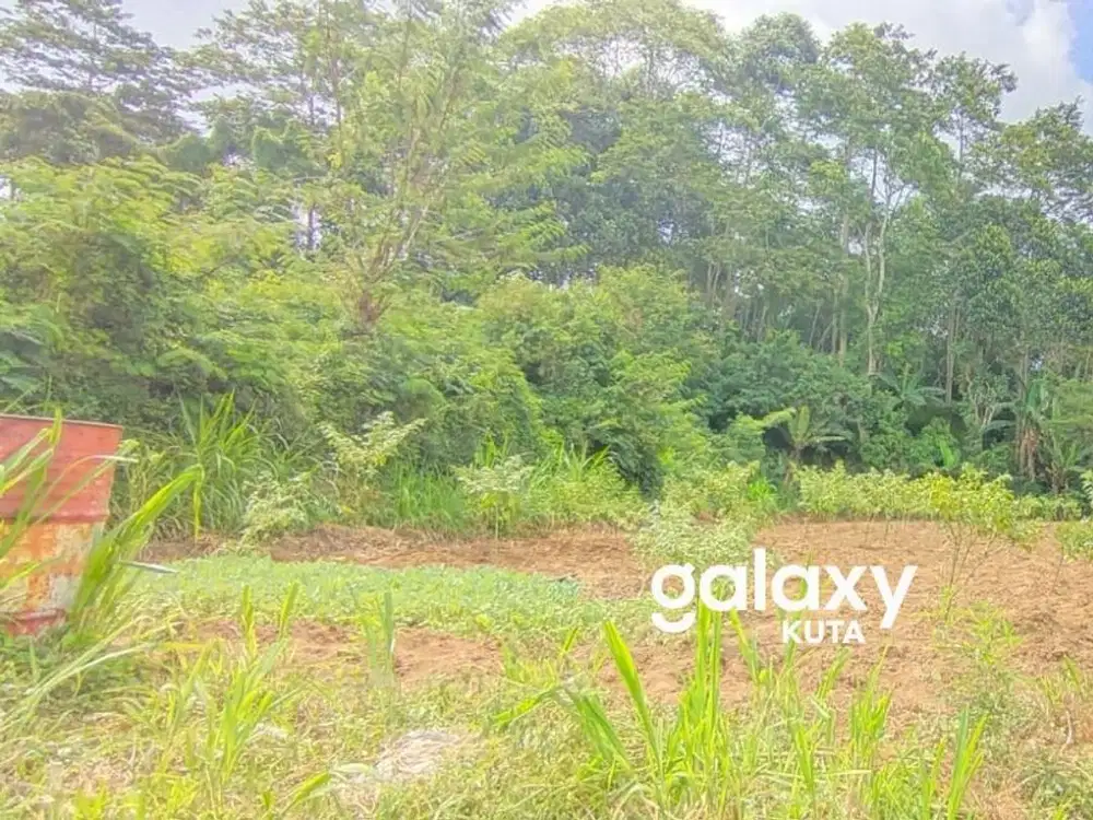 DIJUAL TANAH ASPEK PERUMAHAN DI BATURITI BEDUGUL TABANAN, BALI