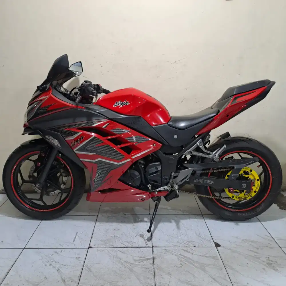 Kawasaki Ninja 250 fi 2013