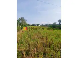 Kavling di Pemuda Boja Kendal Jawa Tengah