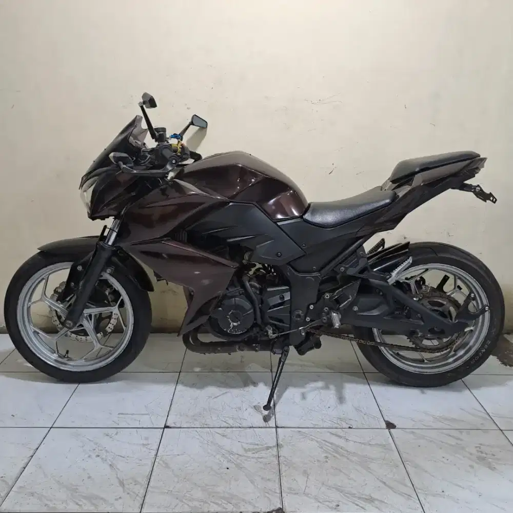Kawasaki Z 250 fi 2013