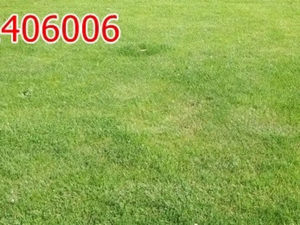 Dijual Tanah Kavling Citraland dkt Pakuwon WBM Royal Residence Graha