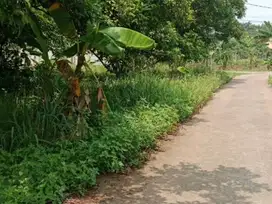 JUAL TANAH MURAH LEUWINANGGUNG TAPOS 3,3JT/M NEGO