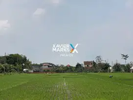 Dijual Tanah Lahan Pertanian Sawah di Mangunrejo, Kepanjen Kab. Malang
