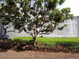 Dijual Tanah di Cluster New Indie Perumahan Elite Araya Malang