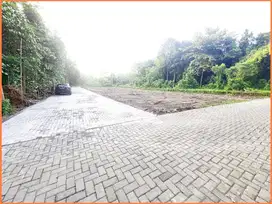 Jl. Pandanaran-Uii Sleman Tanah Dijual Jogja SHM Untuk Villa Dekat UII