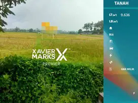 Dijual Tanah Jl Poros Kepanjen Malang Cocok Untuk Investasi