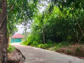 Dijual Cepat Tanah Tenjo Lt 7200m²! Harga Fantastis