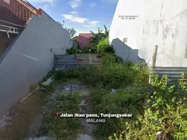 Tanah Di Area Jalan Ikan Paus, Tunjungsekar Lowokwaru Kota Malang