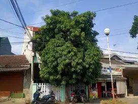 DI JUAL RUMAH 2 LANTAI DI TRIAS ESTATE CIBITUNG BEKASI