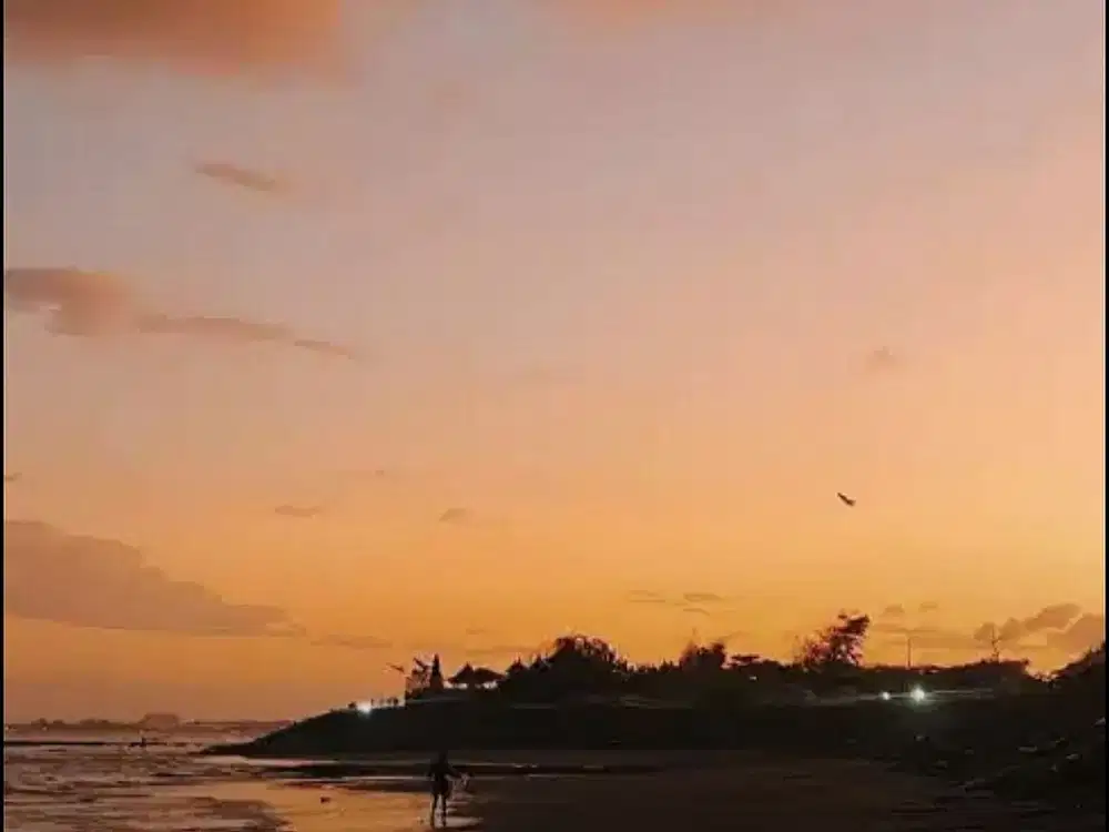 Tanah Jl Subak Telaga Pantai Ketewel