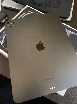Ipad Pro M4 256GB 13inch Garansi On