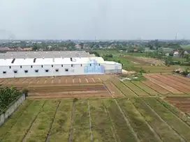 Jual Tanah di jl desa Mekar Jaya - Sepatan, Tangerang Banten