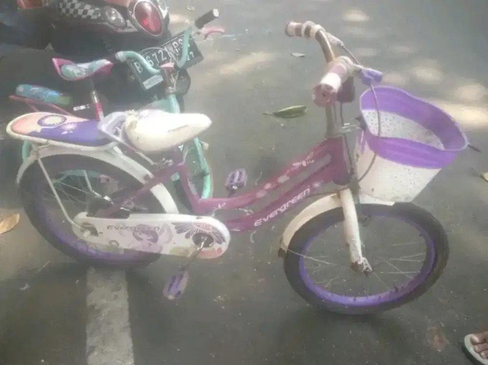 Sepeda Evergreen anak cewek