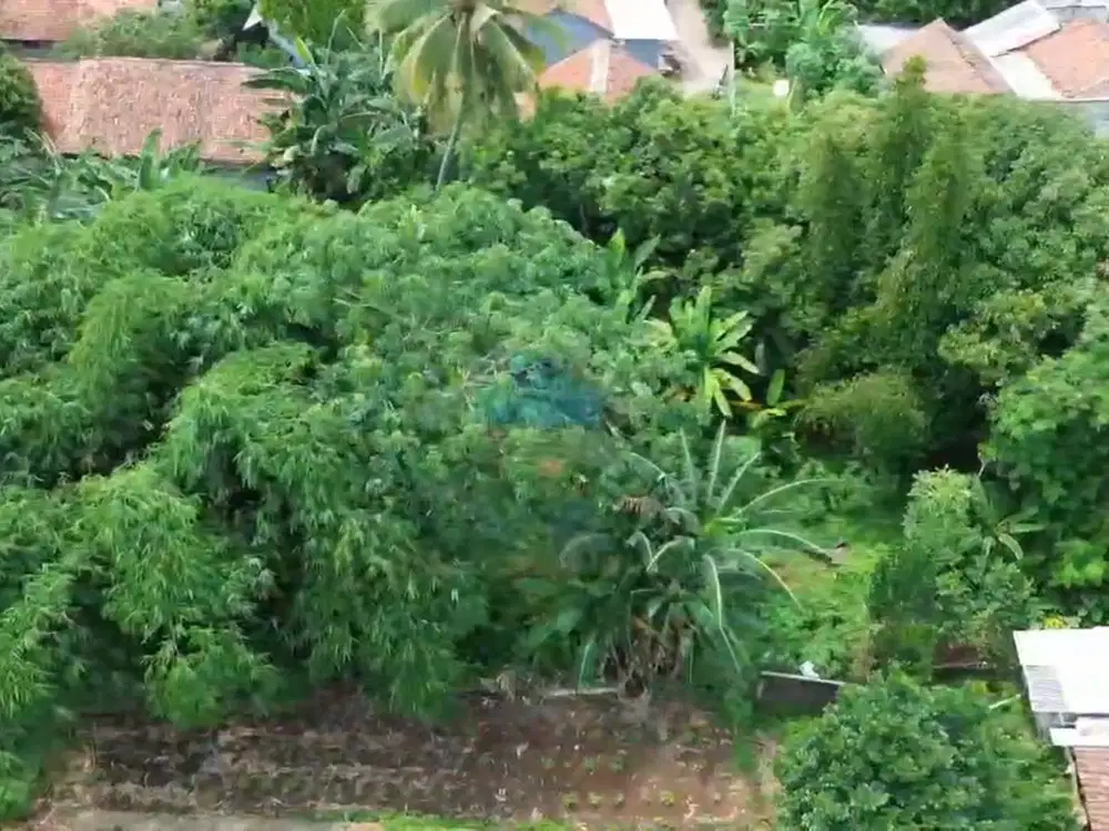 Jual Tanah di Kp Kandang, Mekarwangi, Cisauk - Tangerang.