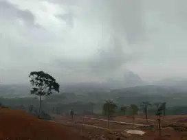 tanah murah yg lagi viral