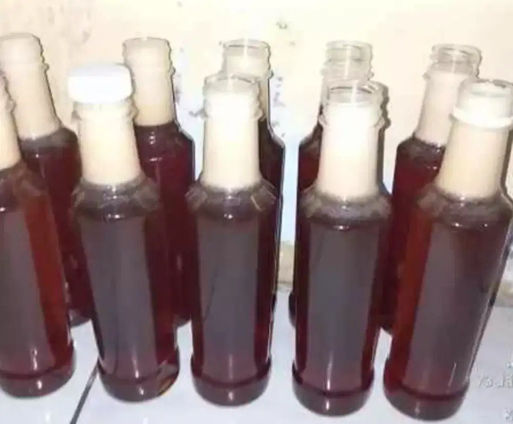 Jual madu hutan sumatra madu sialang