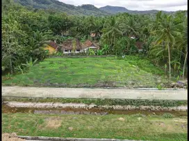 Tanah Jl. Temon - Kokap Kulon Progo Dekat Bandara YIA