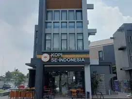 Delrey Biztown, Ruko Hadap Jalan Investasi Terbaik di BSD City