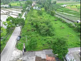 7 Menit Pintu Tol Palbapang Magelang, Sertipikat Hak Milik Mangku Jalan
