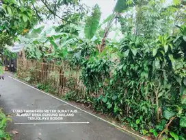 DI JUAL TANAH KEBUN MURAH SUASANA ASRI DI DESA GUNUNG MALANG TENJOLAYA BOGOR