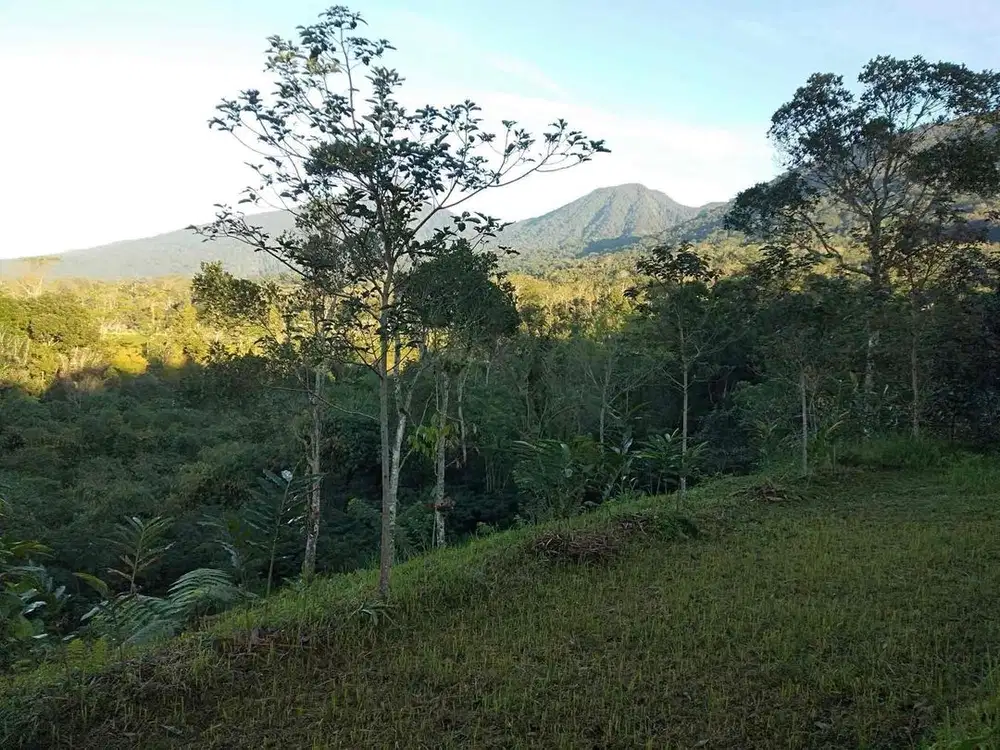 jual tanah baturiti angseri dekat wisata air panas angseri baturiti Tabanan