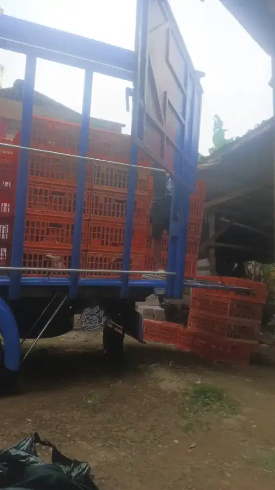 Doc ayam boiler, petelur dan lain lain