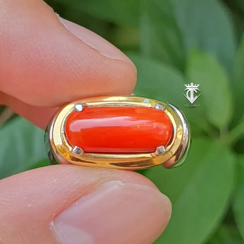 Batu Mulia Natural Red Coral Marjan Asli No Treatment 4.67 Ct Memo