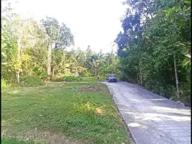 Cerme Panjatan Dijual Tanah Jogja SHM Dekat Alun-alun Wates