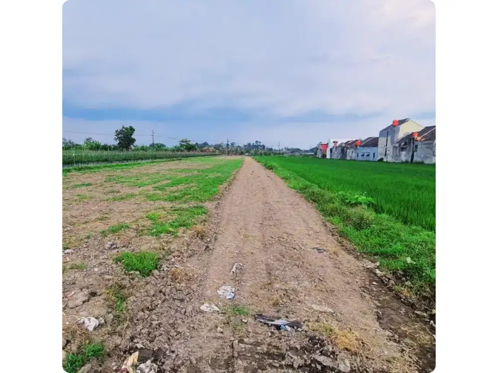 Jalan Godean Dekat Ringruad, Tanah View Sawah Nyaman Huni