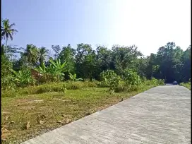 Dekat Bandara YIA, Tanah Jogja di Gotakan Panjatan