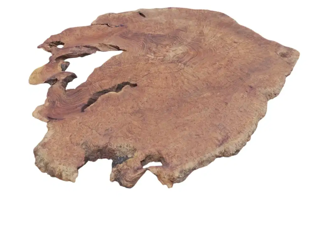 Teak burl coffee table life edge