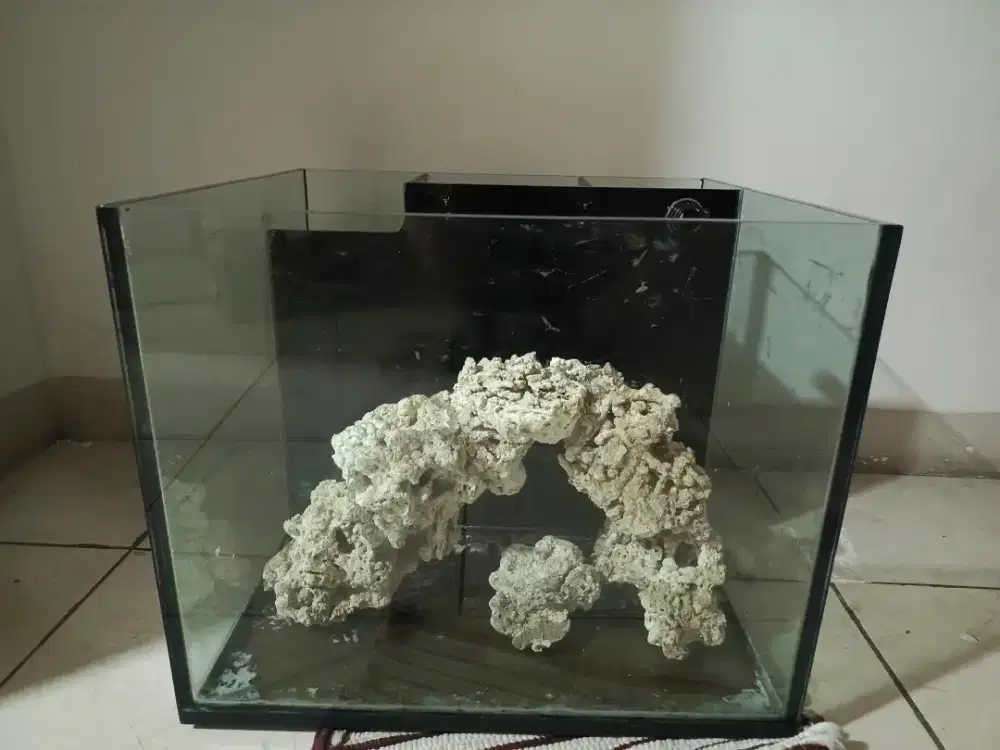 Paket Reef Lengkap Aquarium Laut